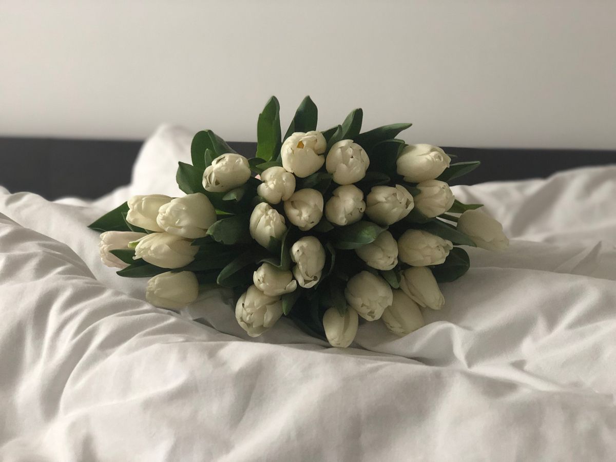 Editorial‑Foto eines kleinen Bouquets